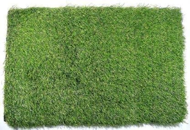 20 Mm Artificial Grass Carpet Mat For Balcony And Lawn Floor, High Density For Covering Balcony (1.5X2, Green)
