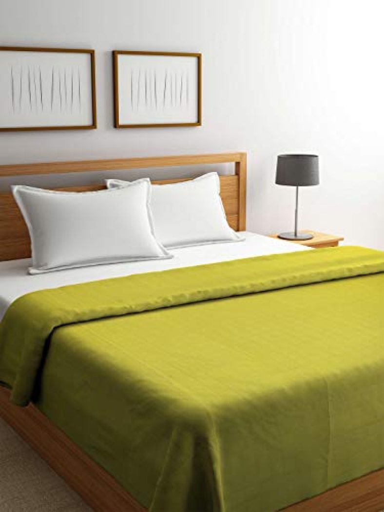Raymond Home Green 200 Gsm Double Quilt