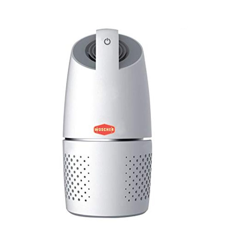 Woscher Air Purifier With True Hepa Air Purifiers Filter For Car Allergies And Pets, Smokers, Smoke, Dust, Mold, And Pollen, Air Cleaner For Hatchback,Suv & Sedans With Usb Mobile Charging Point, W-0815A