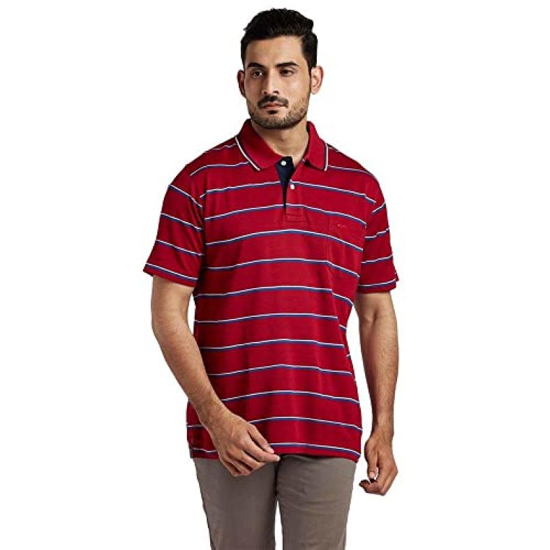 Color Plus Mens Stripes Cotton Regular Fit T-Shirt (Red, Medium)
