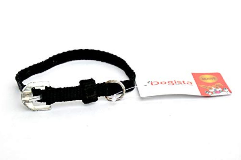 Dogista Pet Products Nylon Dog Collar 0. 50 Inch (Color May Vary) Small