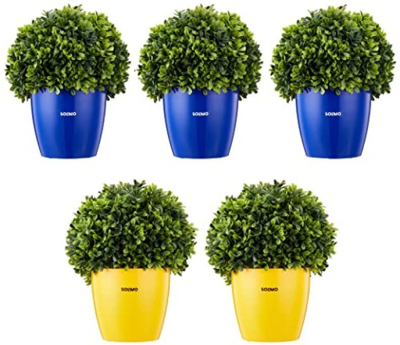 Amazon Brand – Solimo Round Planter, Set Of 5 (Blue 3 Pc, Yellow 2 Pc)