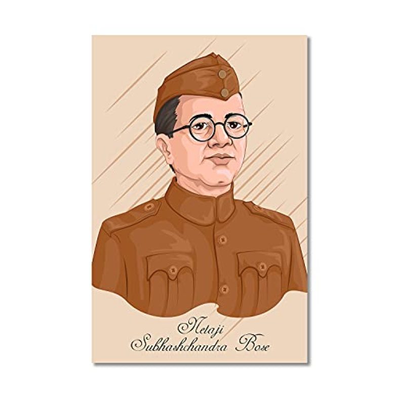 Tamatina Wall Sticker | Home Décoration | Sticker For Wall Décor | Boys Room | Hostel | Hotel | Café | Self Adhesive | Multicolor | Size – 92X61 Cms. A91