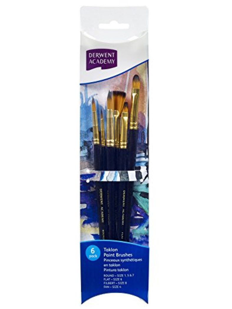 Derwent Academy Taklon Small Brush Set Acetate (Pack Of 6)