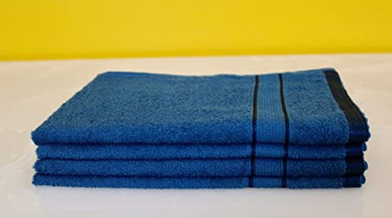 Frestol Terry Hand Towel -4 (Cyan)