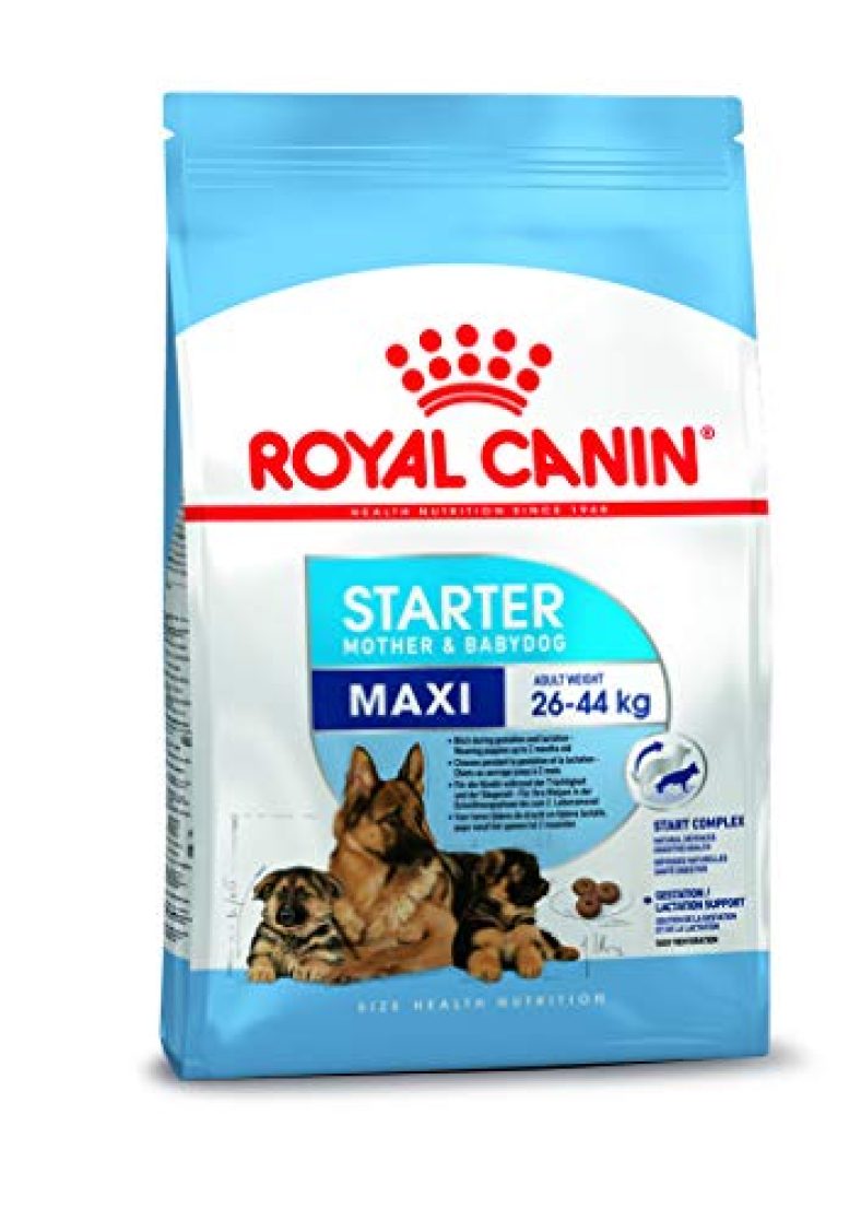 Royal Canin Baby Pellet Dog Food Maxi Starter, Meat Flavour, 1 Kg
