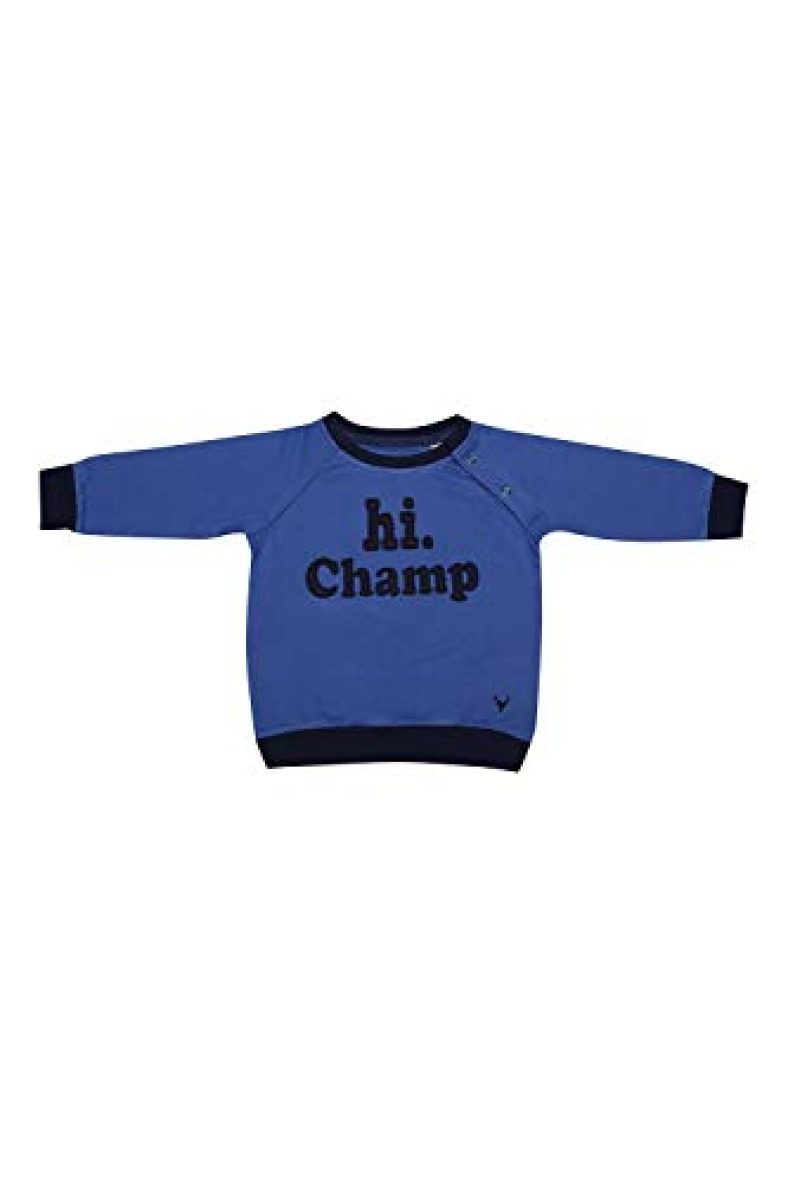 Allen Solly Baby Boy’S Cotton Knitwear (Akibss5172070_Blue_6-9 Months)