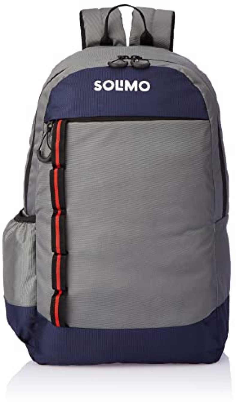 Amazon Brand – Solimo Nylon Backpack, 23 Ltr (Grey/Navy)