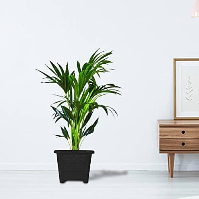 Trustbasket Earthbox-6 Square Plastic Planter Black (Set Of 6) Heavy Duty Highly Durable Plant Containergamla For Indoor Home Decor & Outdoor Balcony Garden