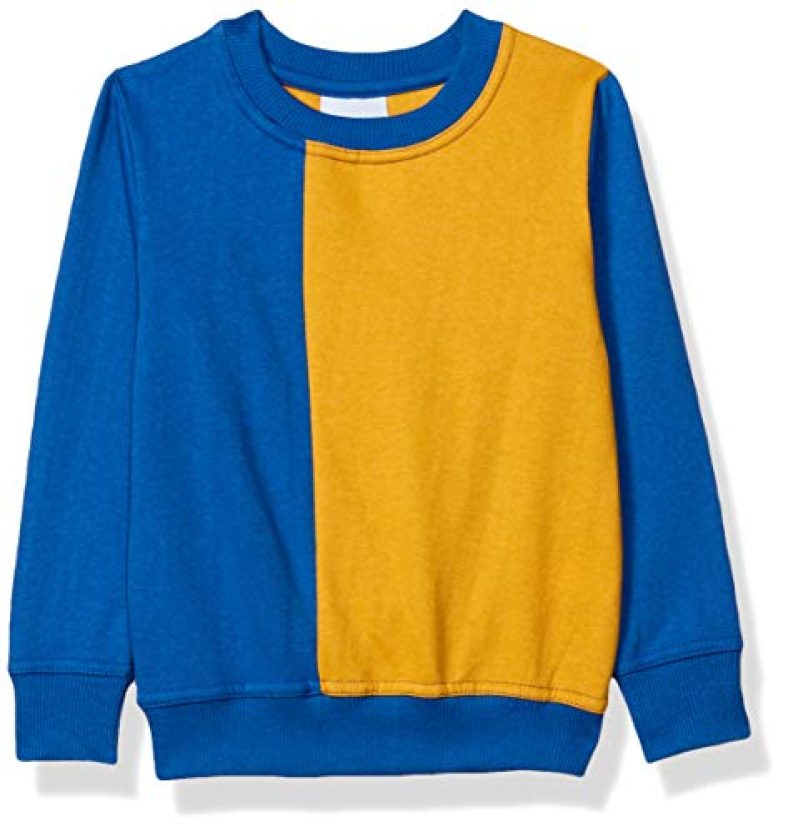 Blink Street Boys Cotton Crew Neck;Hooded Neck Sweatshirt (Bs-1208-28_Aqua_5/6Yr_Aqua_5/6Yr)