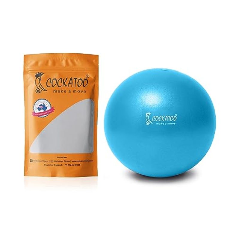 Cockatoo Pvc 25 Cm Mini Gym Ball, Exercise Ball(6 Month Warranty)