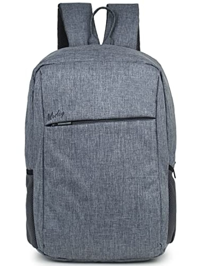 Wesley 25 Ltr Casual Backpack Unisex Daypack/Schoolbag/Collegebag/Tuitionbag/Multi-Purposebackpack (Grey)