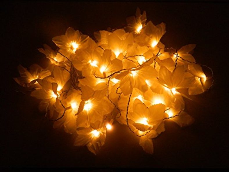 Tu Casa Dw-217-11 Daffodil Flower String Light (White/Yellow)