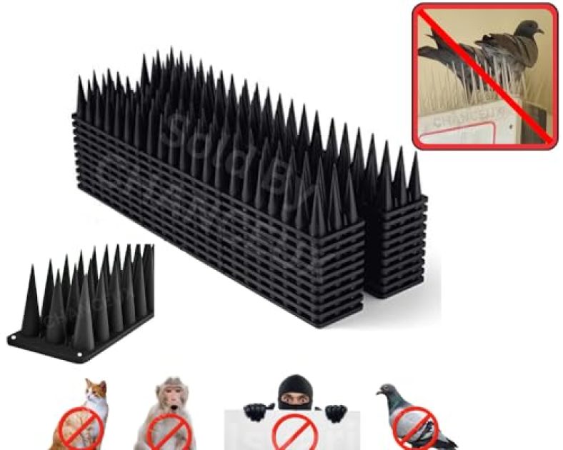 Chanceux Anti Bird Plastic Spikes Black (5 Pcs Set) For Ac Balconies Window Home Protection From Pigeon Dog Monkey Crow Kabootar -Area Covers 5 Ft – Kabutar Control Scare Repellent Balcony Railing