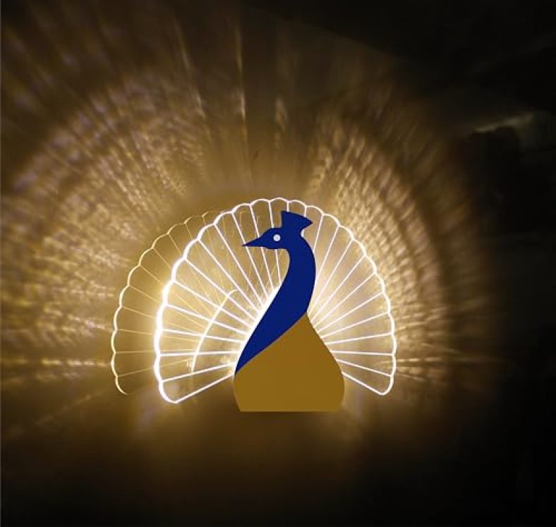 Lamp Master Acrylic Peacock Wall Light Home Decorative Lights For Children, Gifts, Party, Kids Room, Living Room, Vanity Light, Modern Bathroom, Bedroom (3 In 1 Led Colour, Pack Of 1)