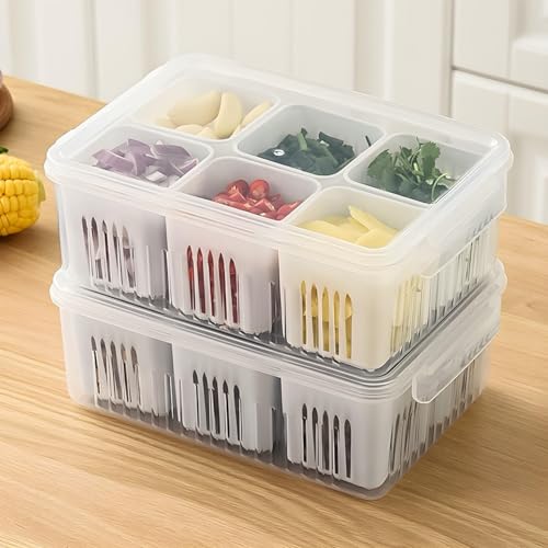 Darkpyro Plastic Fridge Storage Container,Storage Boxes,Vegetable Storage, Draining Crisper Refrigerator Food Box (Pack Of 2) White, 22.8 X 16 X 8.5 Cm