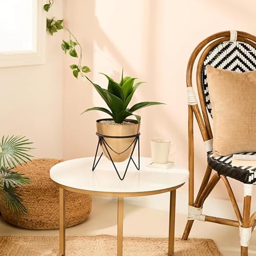 Amazon Basics Metal Planters With Stand (Pack Of 1) | Planter For Living Room And Bedroom Decor | Best Decor Gift (Copper Gold)