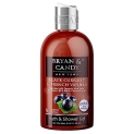 Bryan & Candy Shower Gel With Aloe Vera. Gentle, Moisturizing Body Wash For Soft, Supple Skin (Black Currant Shower Gel, 300Ml)